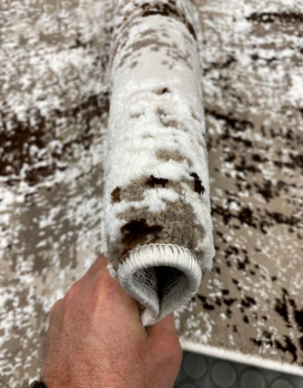 Астра (Фото 1)