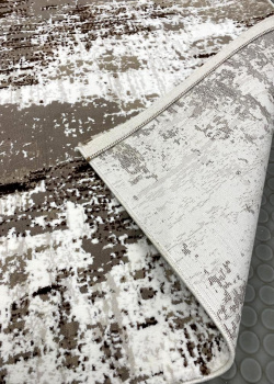 Астра (Фото 2)